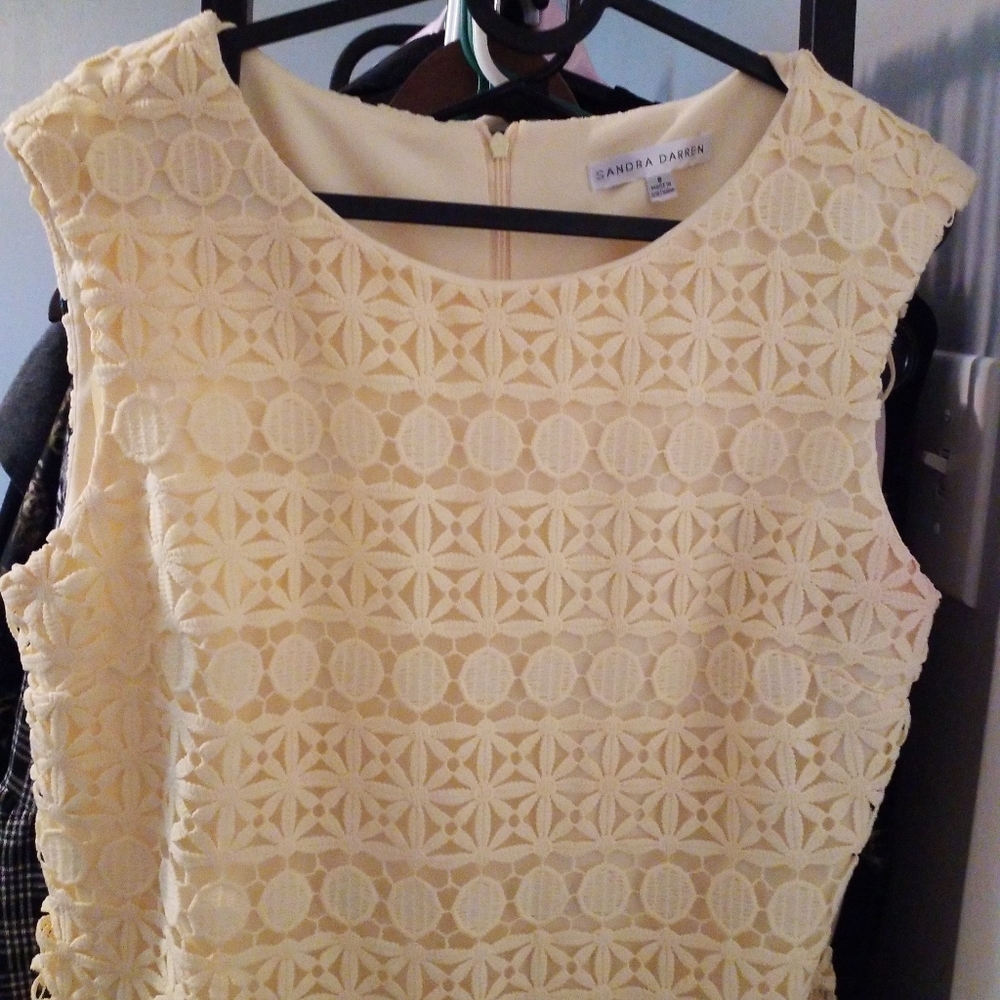 Sandra darren dress
